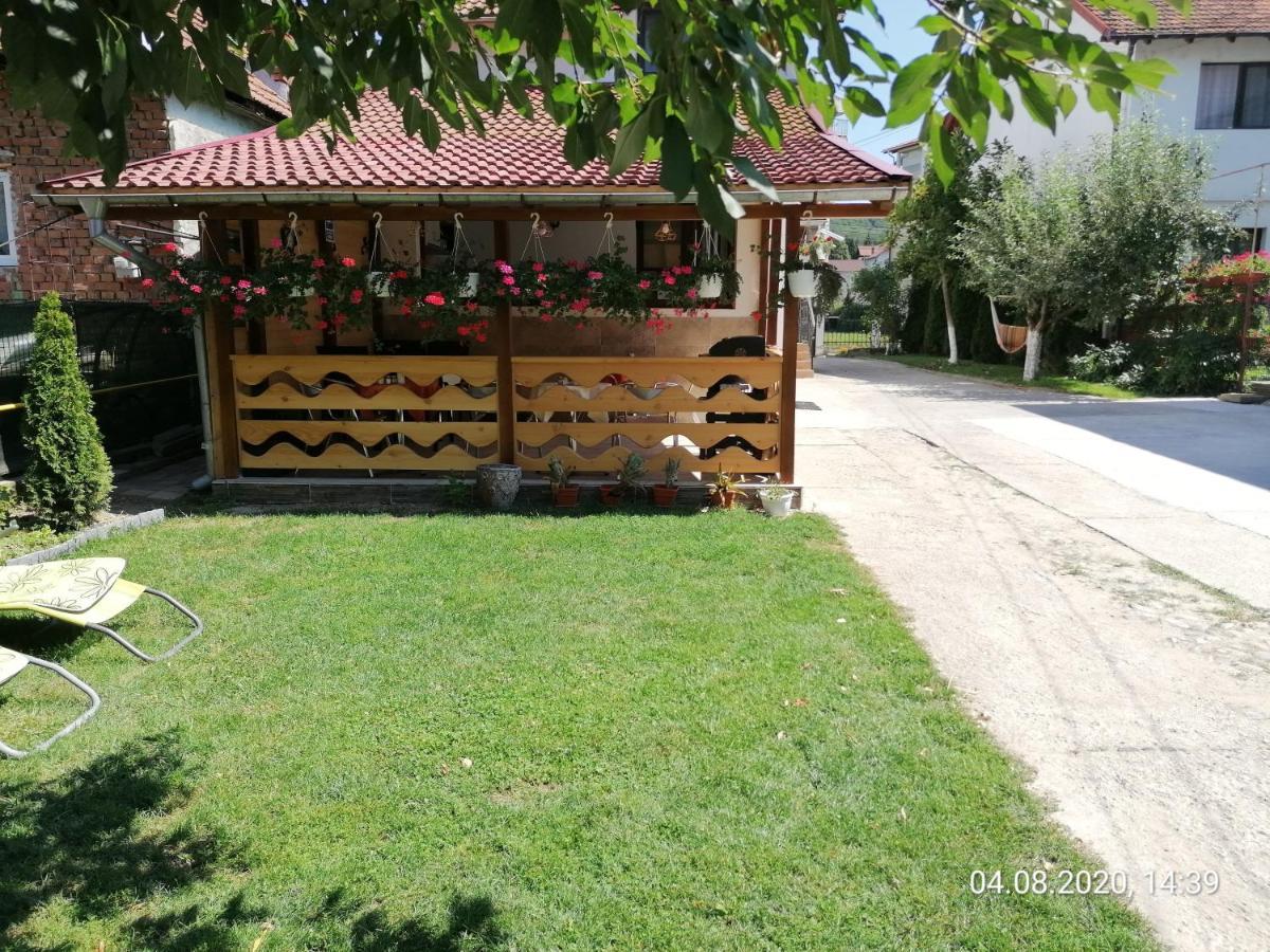 Pensiunea Ioana Curtea De Arges Exterior photo